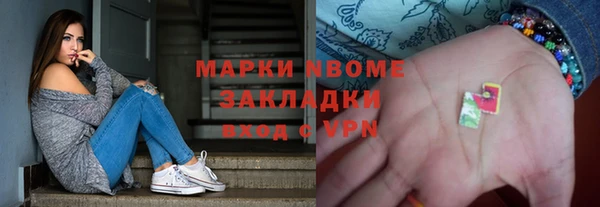 шишки Осташков