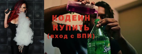 шишки Осташков